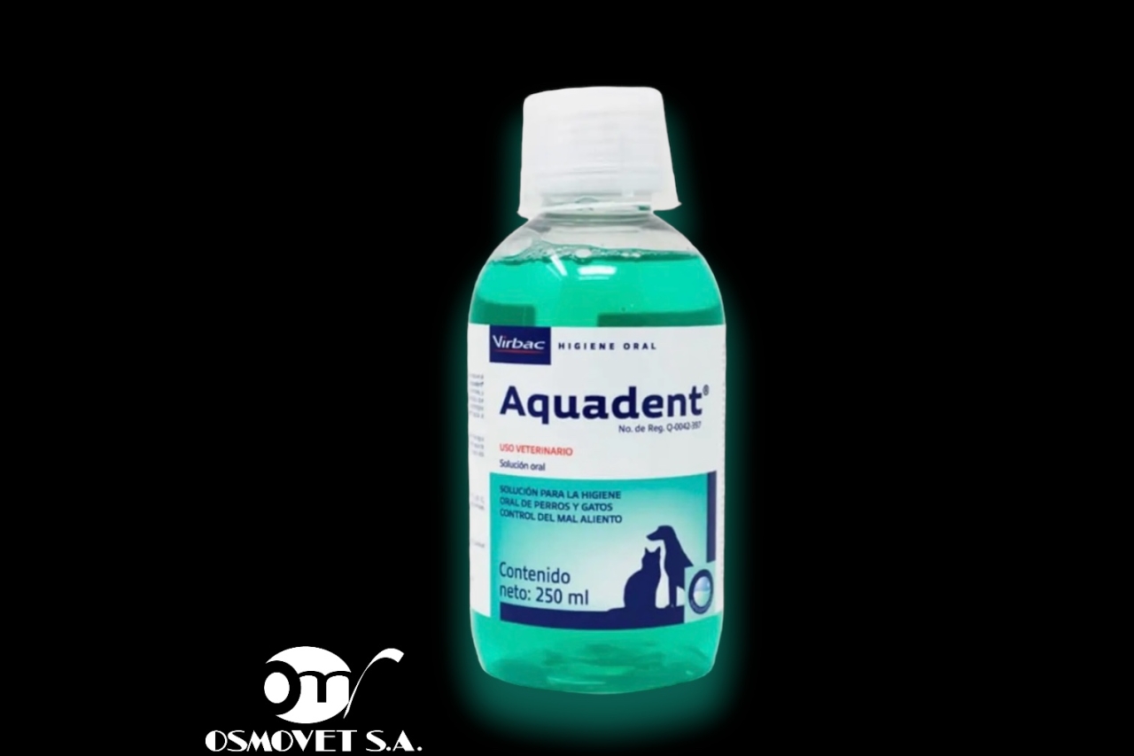 Aquadent