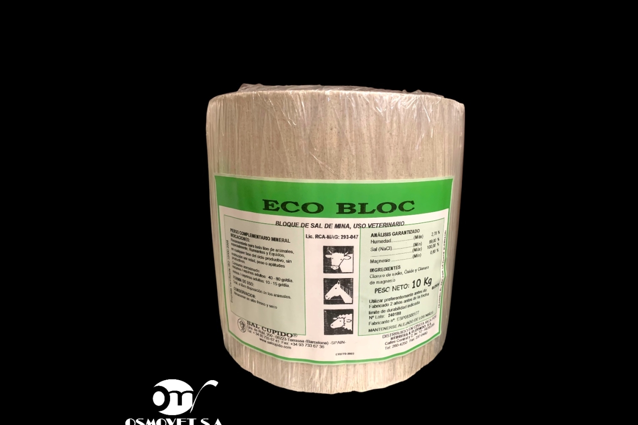 eco bloc