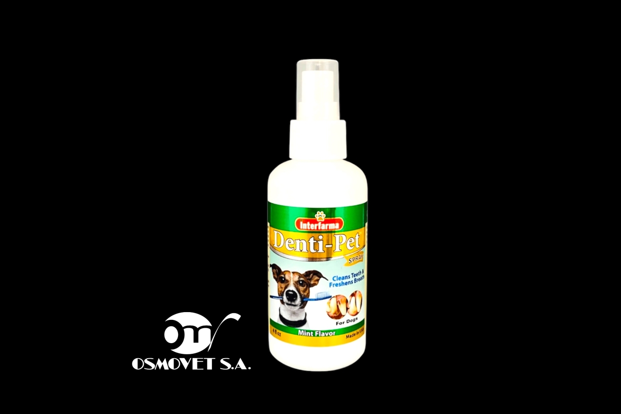 denti pet 