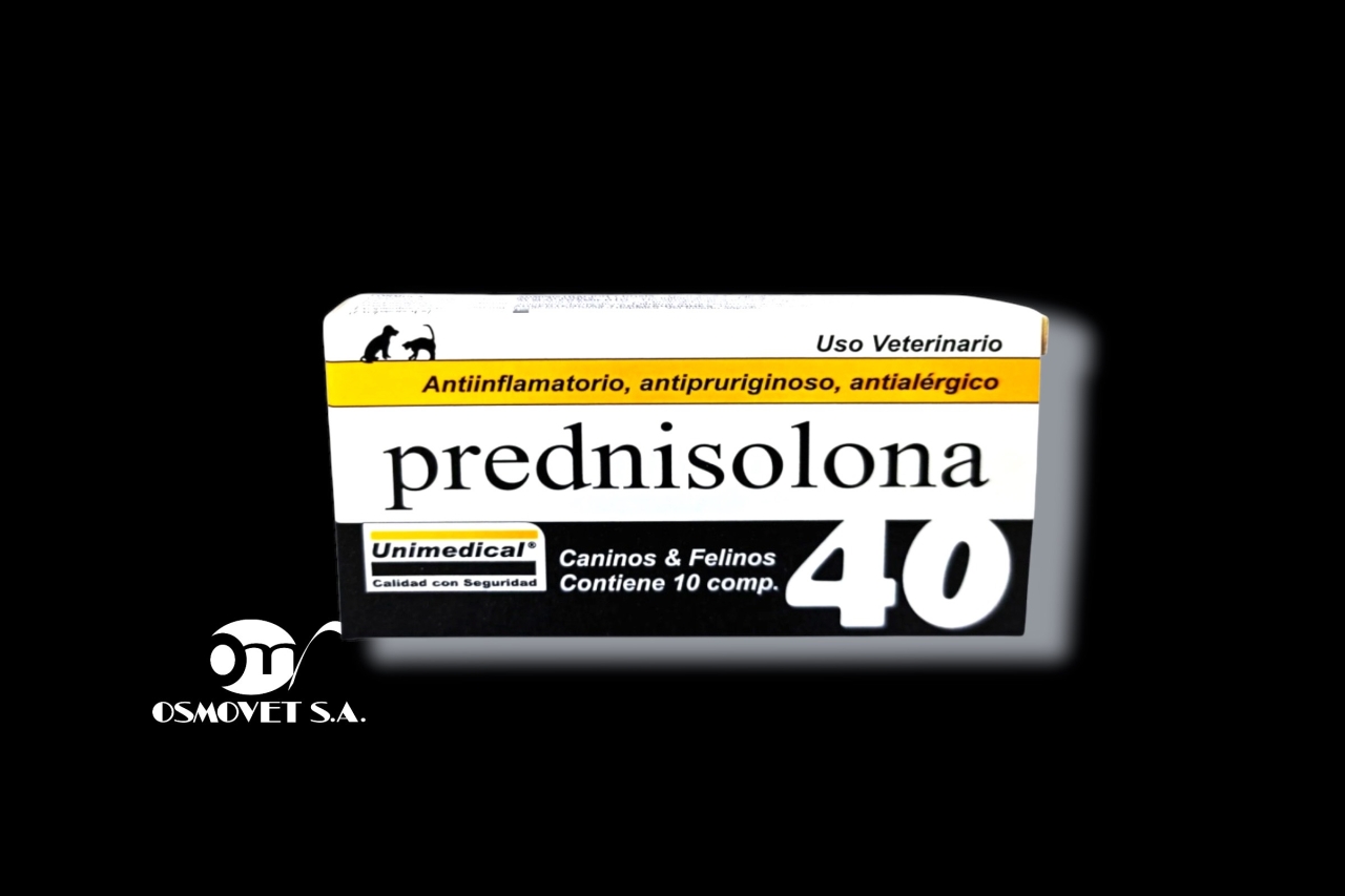 predni