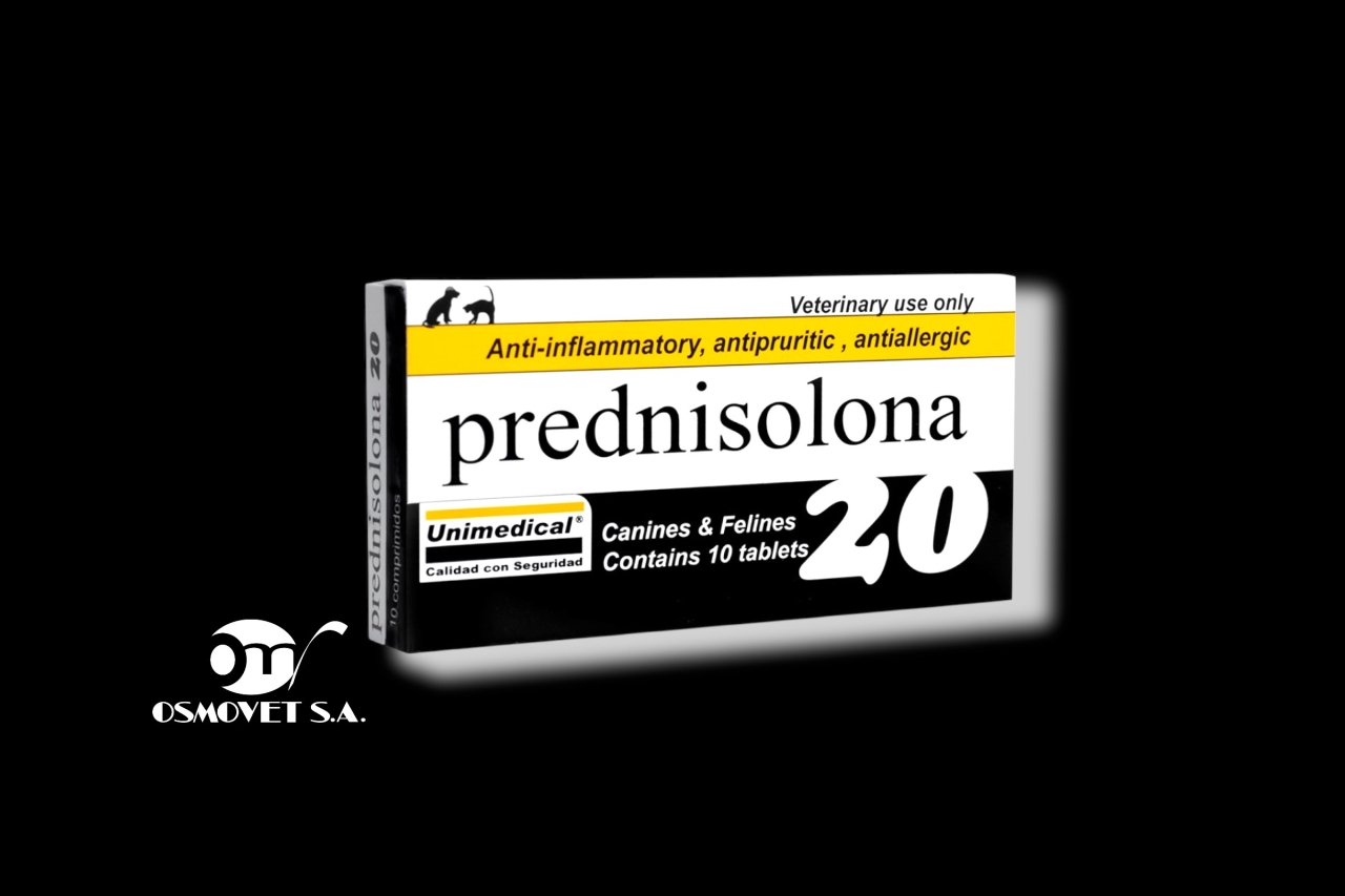 predni 20