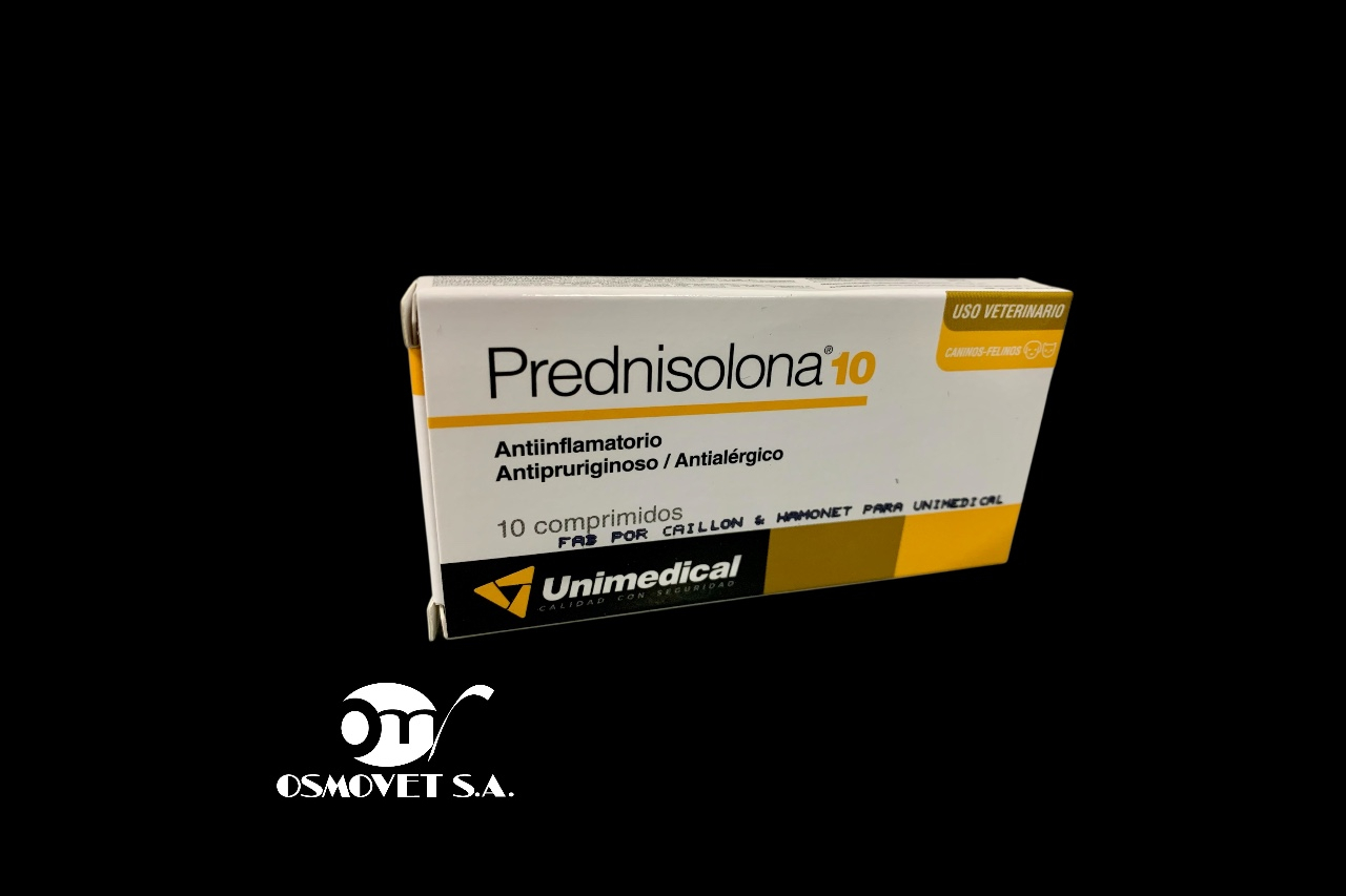 predni 10