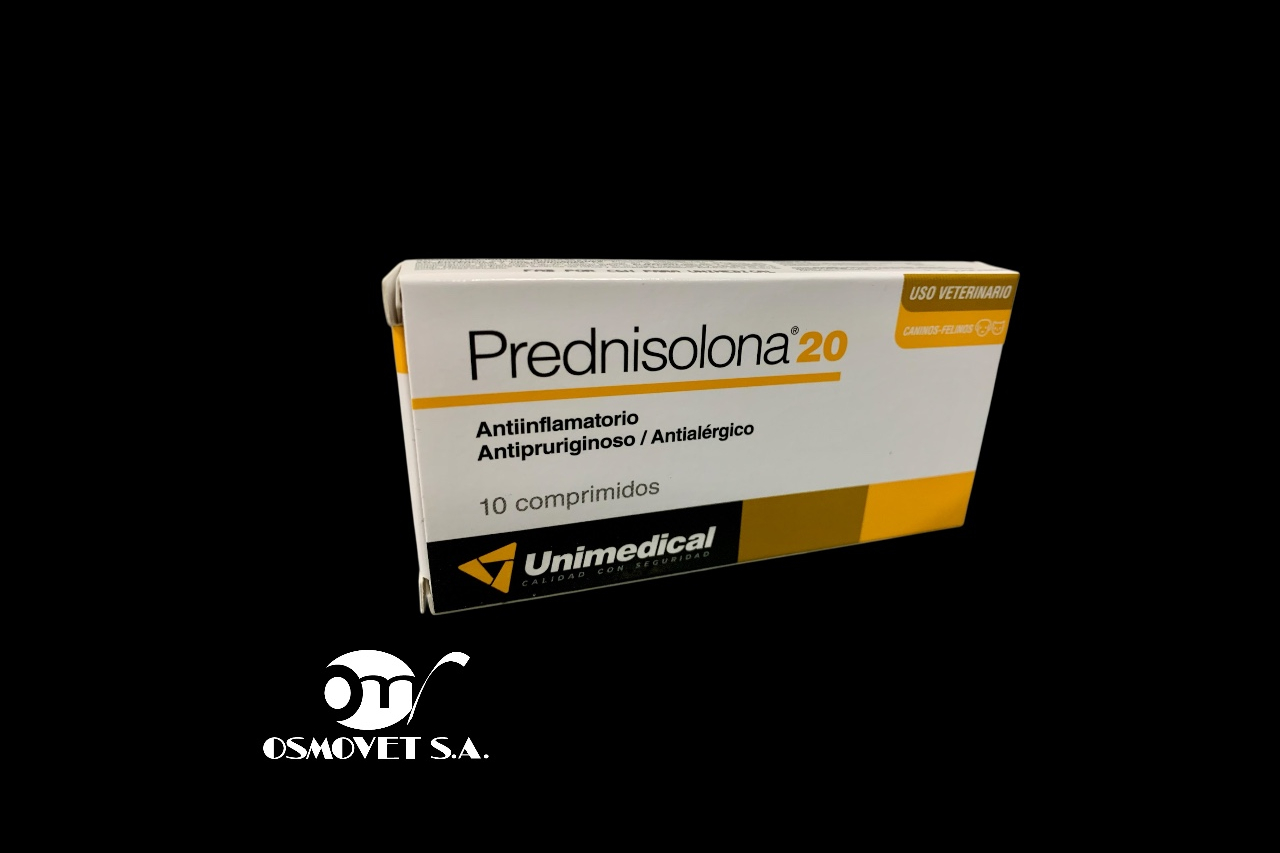 Predni 20