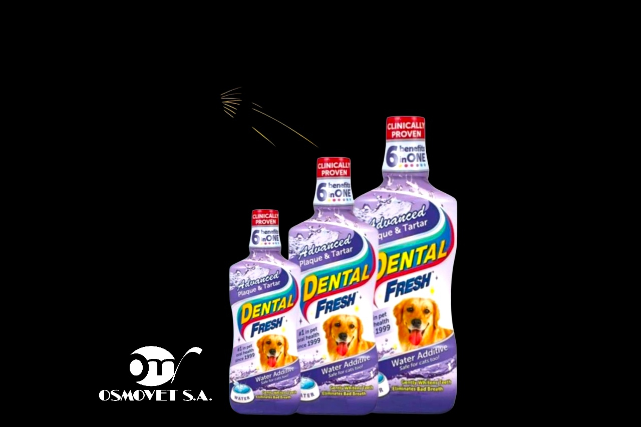 dental