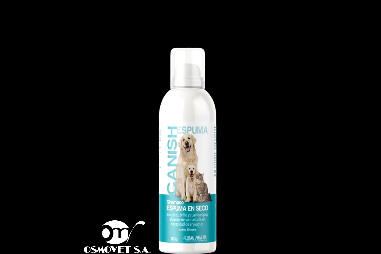 shampoo seco