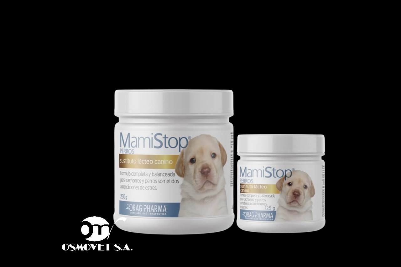 mamistop perros