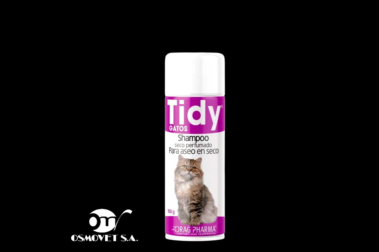 tidy gatos