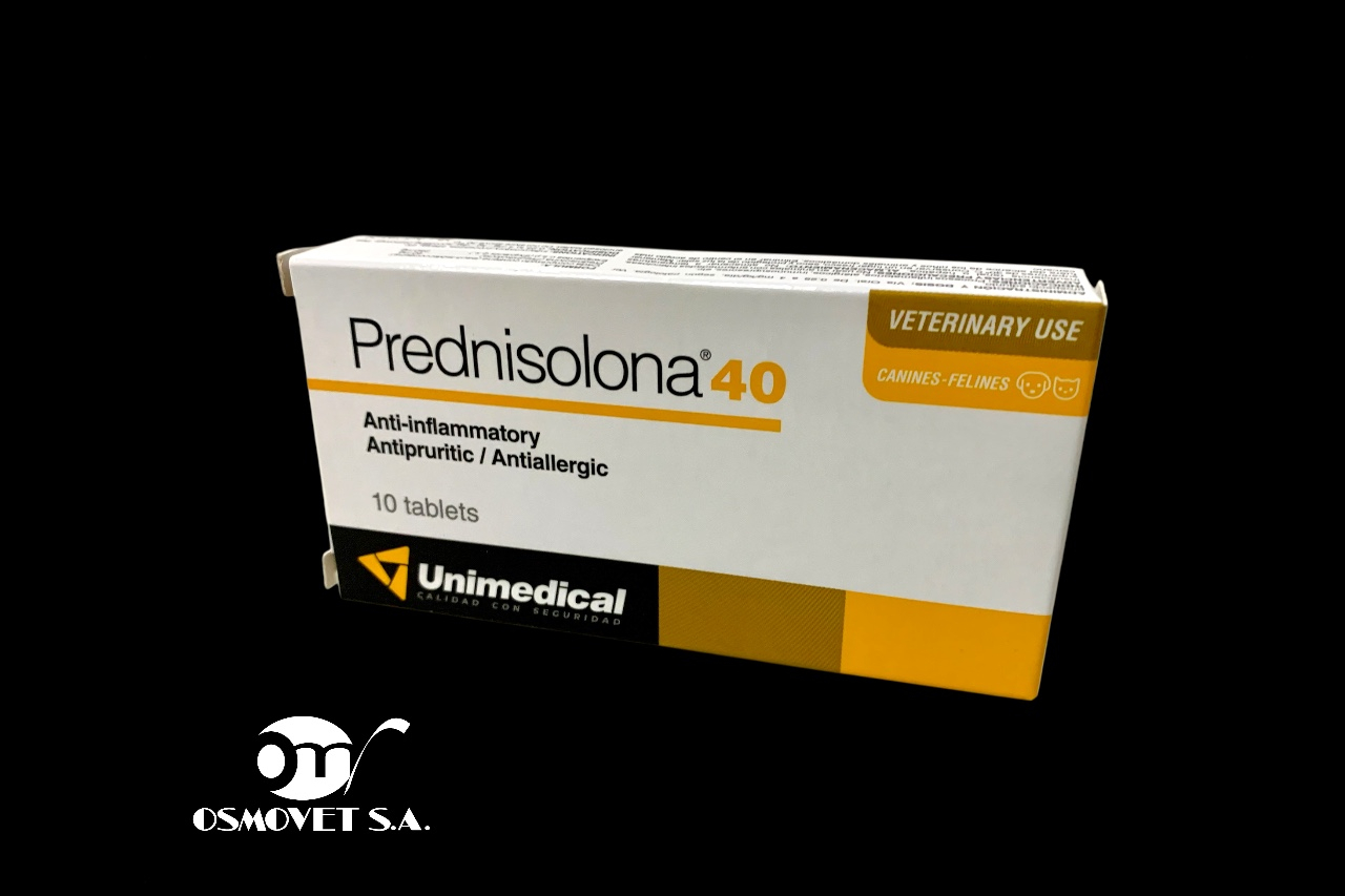 predni 40