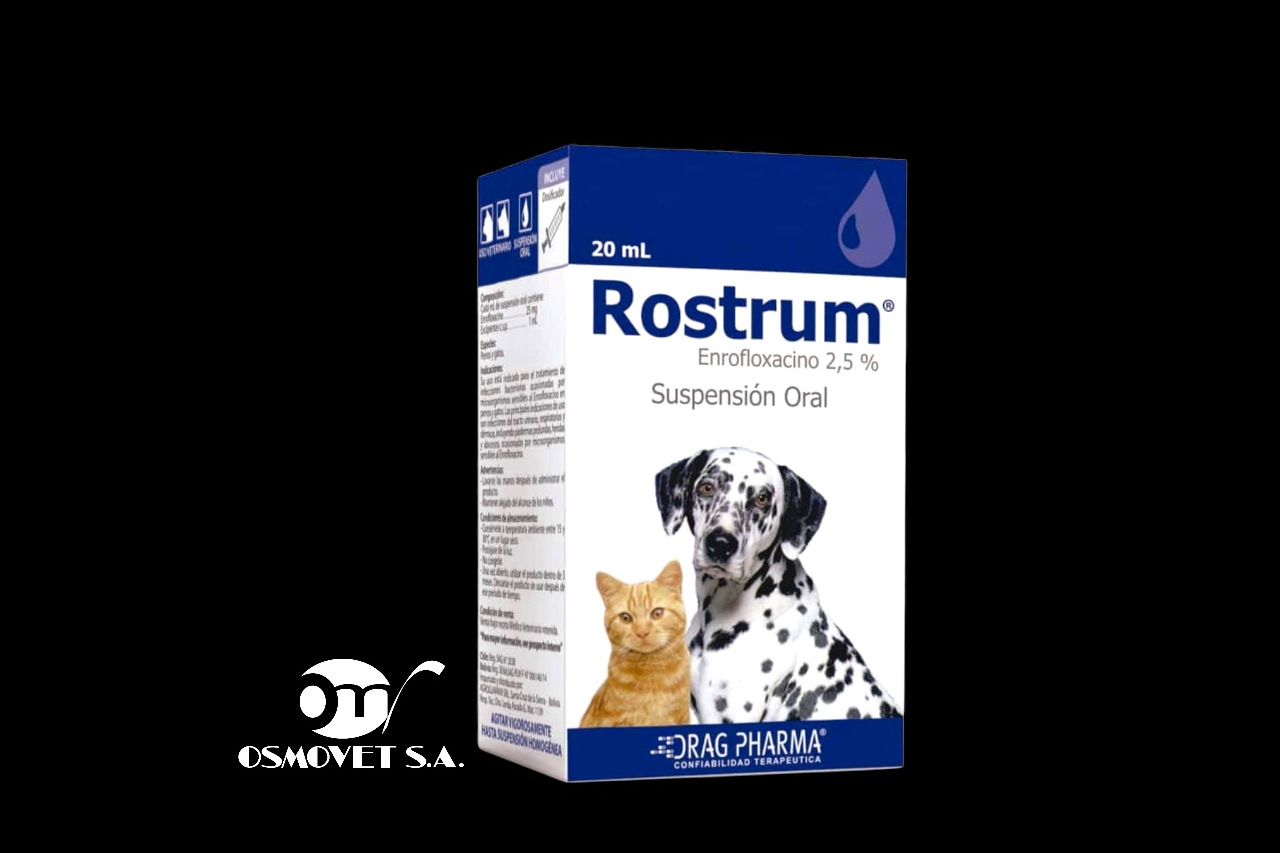 Rostrum susp