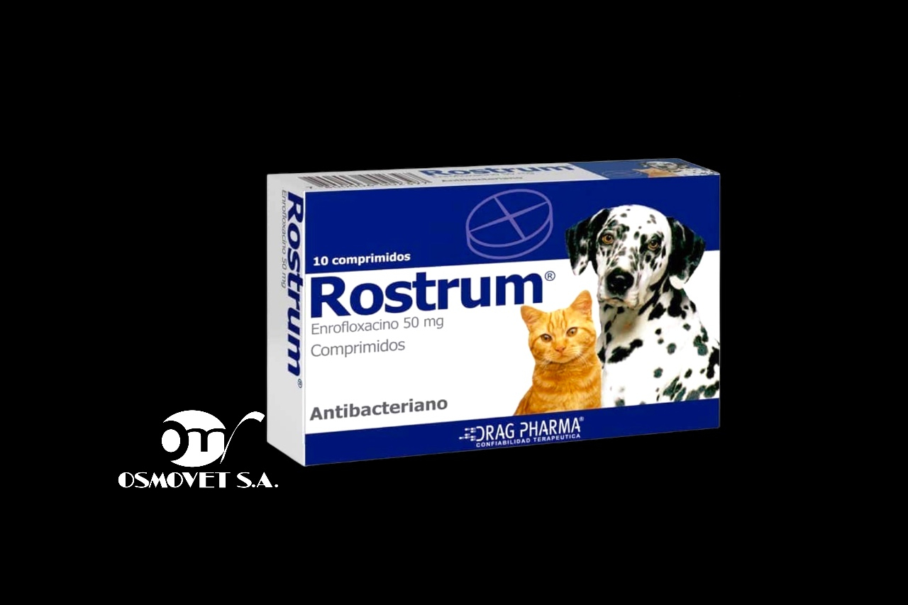 ROSTRUM