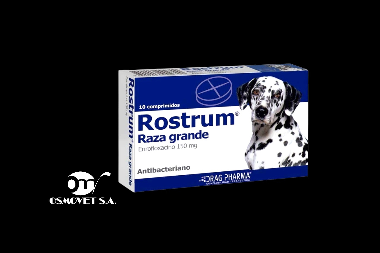 rostrum G