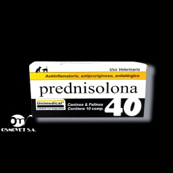 predni