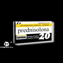 predni 20