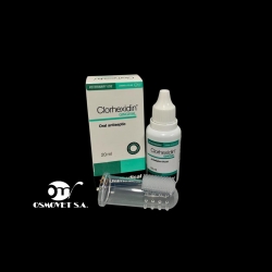 Gingival