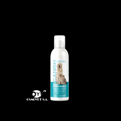 shampoo seco