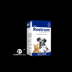 Rostrum susp
