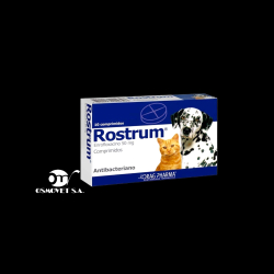 ROSTRUM