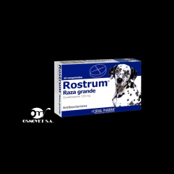 rostrum G